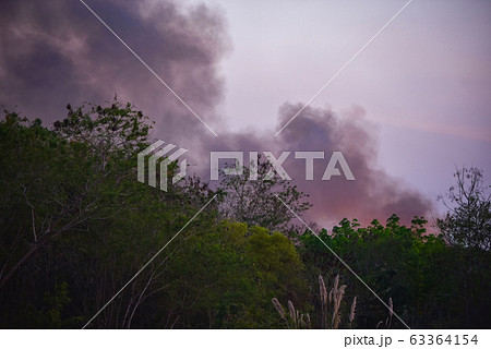 Forest fire burned trees wildfire with smoke on Forest fire burned trees wildfire with smoke on 63364154