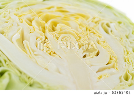 新鮮採れたて!春キャベツ 新鮮採れたて!春キャベツ 63365402