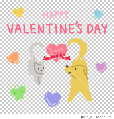 Cat and dog Valentine 63366226