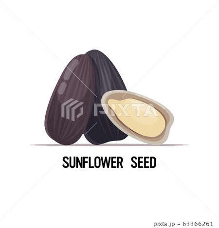 sunflower seeds organic healthy vegetarian food concept 63366261