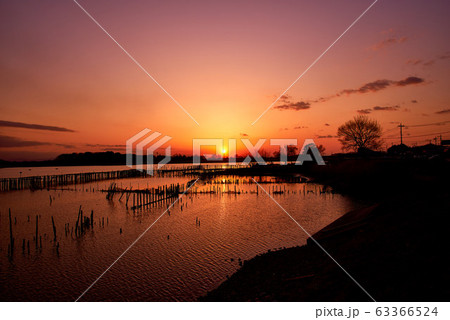 多々良沼の夕焼け【群馬県館林市】 63366524
