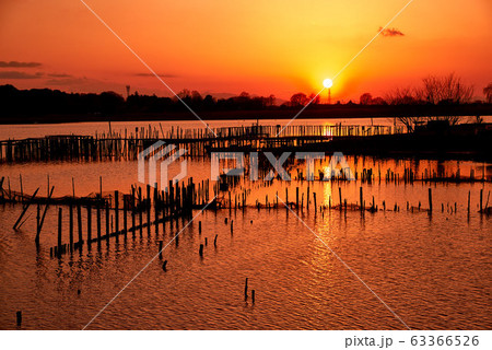 多々良沼の夕焼け【群馬県館林市】 63366526