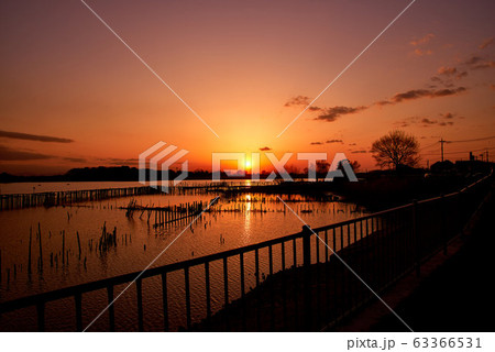 多々良沼の夕焼け【群馬県館林市】 多々良沼の夕焼け【群馬県館林市】 63366531