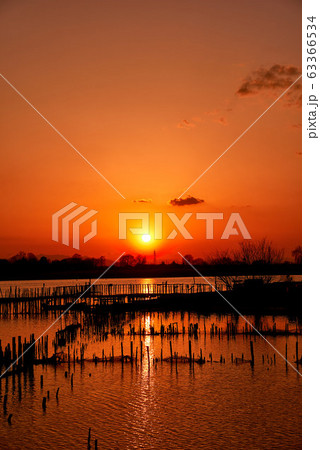 多々良沼の夕焼け【群馬県館林市】 多々良沼の夕焼け【群馬県館林市】 63366534