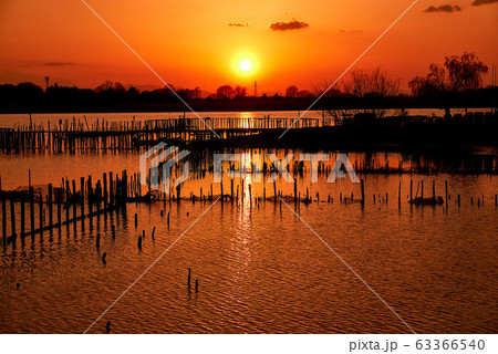 多々良沼の夕焼け【群馬県館林市】 63366540