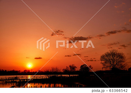 多々良沼の夕焼け【群馬県館林市】 多々良沼の夕焼け【群馬県館林市】 63366542
