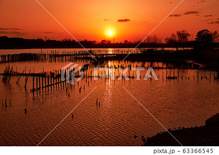 多々良沼の夕焼け【群馬県館林市】 多々良沼の夕焼け【群馬県館林市】 63366545