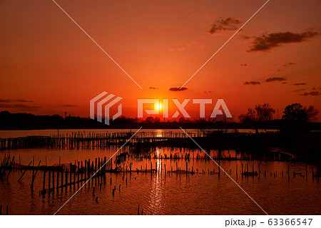 多々良沼の夕焼け【群馬県館林市】 多々良沼の夕焼け【群馬県館林市】 63366547