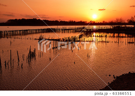 多々良沼の夕焼け【群馬県館林市】 63366551