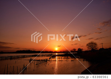 多々良沼の夕焼け【群馬県館林市】 多々良沼の夕焼け【群馬県館林市】 63366561