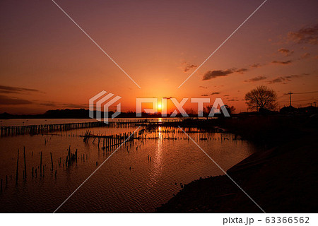 多々良沼の夕焼け【群馬県館林市】 多々良沼の夕焼け【群馬県館林市】 63366562