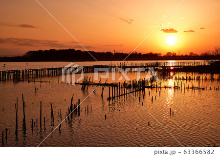 多々良沼の夕焼け【群馬県館林市】 多々良沼の夕焼け【群馬県館林市】 63366582