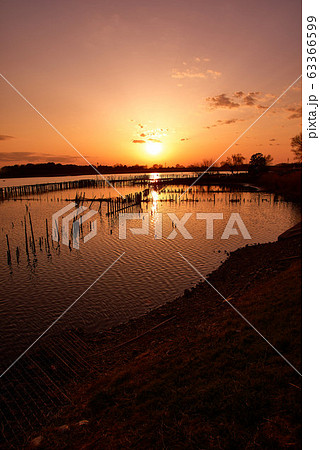多々良沼の夕焼け【群馬県館林市】 多々良沼の夕焼け【群馬県館林市】 63366599