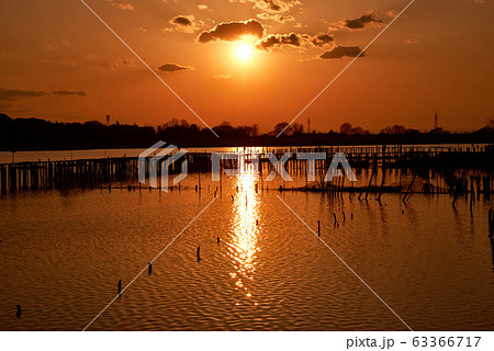 多々良沼の夕焼け【群馬県館林市】 多々良沼の夕焼け【群馬県館林市】 63366717