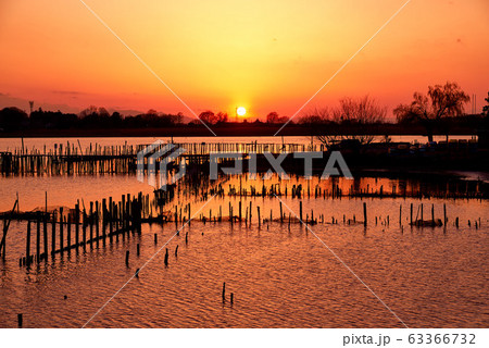 多々良沼の夕焼け【群馬県館林市】 多々良沼の夕焼け【群馬県館林市】 63366732