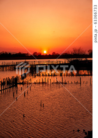 多々良沼の夕焼け【群馬県館林市】 多々良沼の夕焼け【群馬県館林市】 63366733
