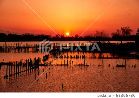 多々良沼の夕焼け【群馬県館林市】 63366736