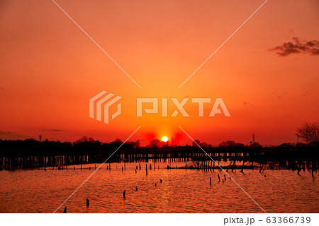 多々良沼の夕焼け【群馬県館林市】 多々良沼の夕焼け【群馬県館林市】 63366739