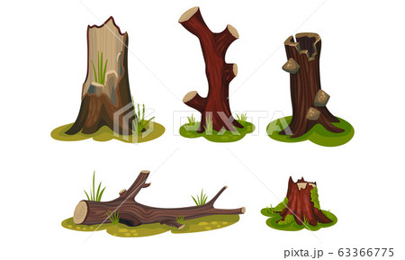 Old Hollow Stubs and Moss-covered Stumps Standing on Green Patch Vector Set 63366775