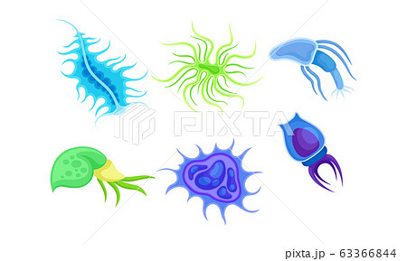 Bacteria and Germs of Different Shapes Isolated on White Background Vector Set 63366844