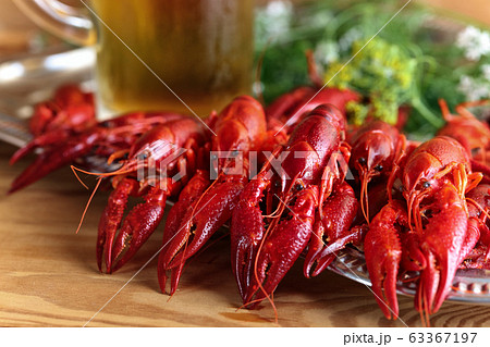 Boiled crawfish with dill and mug of beer . Boiled crawfish with dill and mug of beer . 63367197