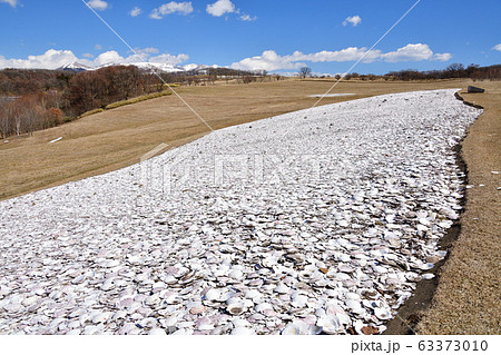 早春の北海道伊達市北黄金貝塚遺跡の風景を撮影の写真素材