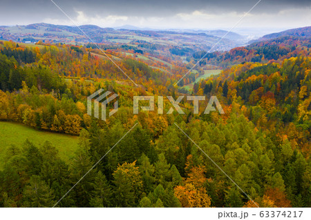 Forest landscape in autumn day Forest landscape in autumn day 63374217
