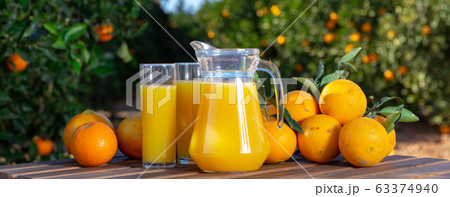 Jug and glasses of freshly squeezed orange juice with oranges in an outdoor setting during summer Jug and glasses of freshly squeezed orange juice with oranges in an outdoor setting during summer 63374940