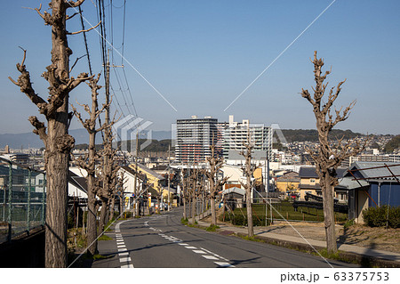 宇治市木幡御蔵山の道路 宇治市木幡御蔵山の道路 63375753