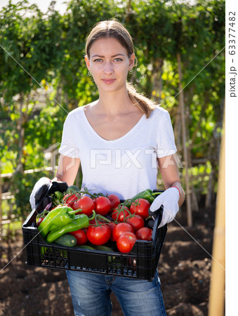 Girl farmer with box of vegetables in the garden Girl farmer with box of vegetables in the garden 63377482