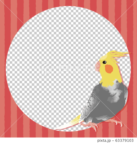 Cockatiels and round frame 3 63379103