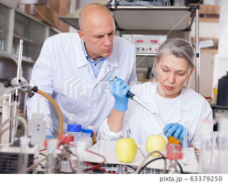 Biochemists checking fruits and vegetables 63379250