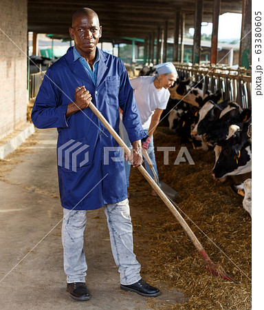 Man farmer with shovel standing near cow and woman working on background Man farmer with shovel standing near cow and woman working on background 63380605