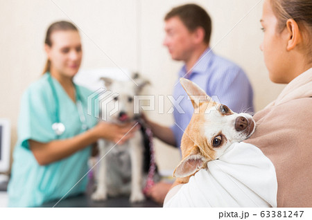 Father and daughter waiting for a vet diagnosis 63381247