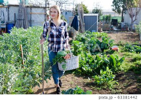 Positive girl with a crop of vegetables on a garden bed Positive girl with a crop of vegetables on a garden bed 63381442