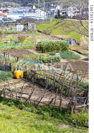 京都市伏見区小栗栖・醍醐の貸し農園 京都市伏見区小栗栖・醍醐の貸し農園 63381901