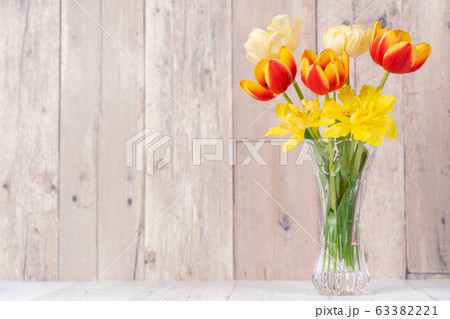 チューリップ ﾁｭｰﾘｯﾌﾟ 花 63382221
