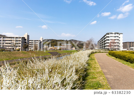 京都市小栗栖・醍醐あたりの山科川の風景 63382230