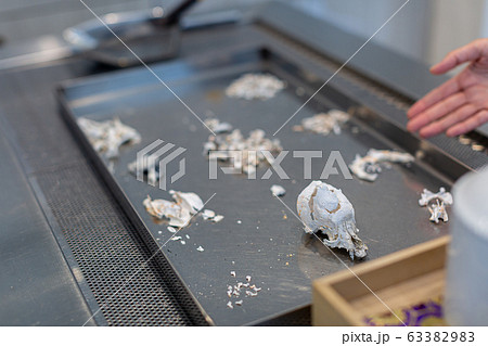 愛犬の遺骨 63382983