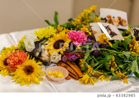 愛犬の遺骨 63382985