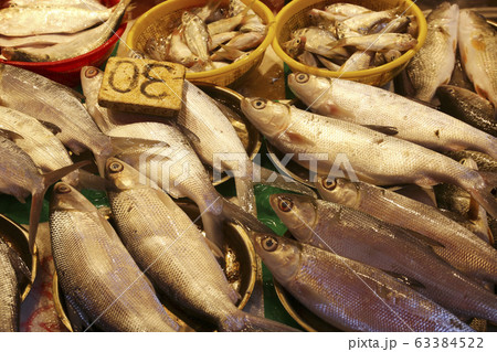 香港島北角の市場で売られる魚。日本ではなじみのない魚も多い 63384522