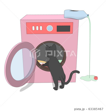 Gray cat and a pink washing machine. Gray cat and a pink washing machine. 63385467