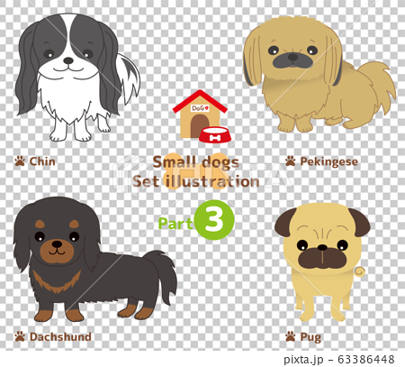 小型犬 4種セット パグ ダックスフンド ペキニーズ 狆のイラスト素材
