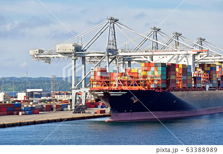 Large container ship has docked in the port o and is loading and unloading 63388989