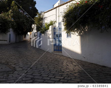 チュニジア・シディブサイドの小道 / Sidi Bou Said, Tunisia 63389841