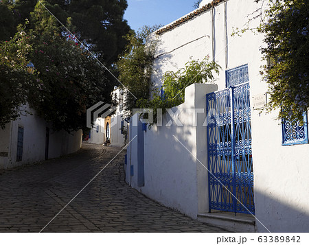 チュニジア・シディブサイドの小道 / Sidi Bou Said, Tunisia 63389842