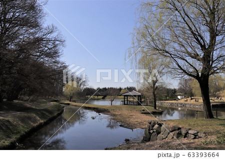 古河総合公園(御所沼と公方様の森) 古河総合公園(御所沼と公方様の森) 63393664