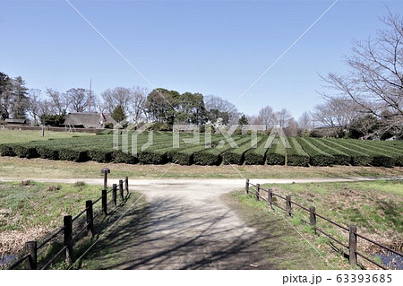 古河総合公園（茶園と民家園） 63393685