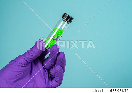 Covid-19 concept. Microbiologist wear sterile gloves with a tube of biological sample contaminated by Coronavirus 63393855