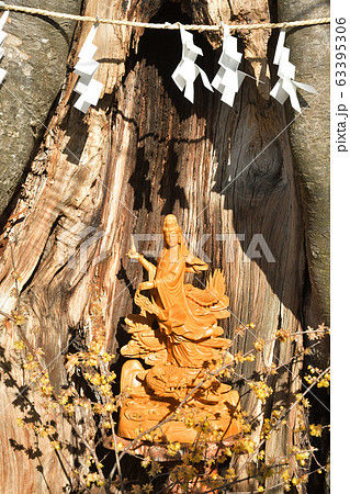 秩父散歩：秩父今宮神社　八大龍王宮 63395306